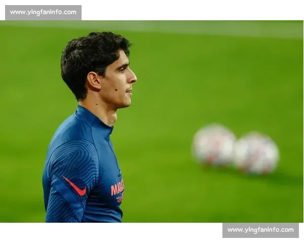 足球盛宴:盘点本赛季五大惊艳表现与赛场背后的战略博弈